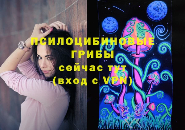 ешки Верея