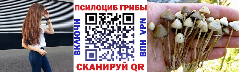 Псилоцибиновые грибы мухоморы  что такое наркотик  Миасс 